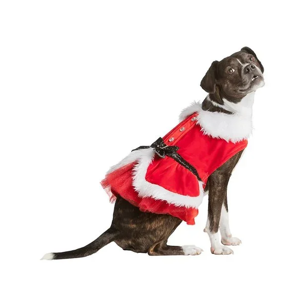 white christmas dresses Candy Cane Cutie Dog Dress main image 1